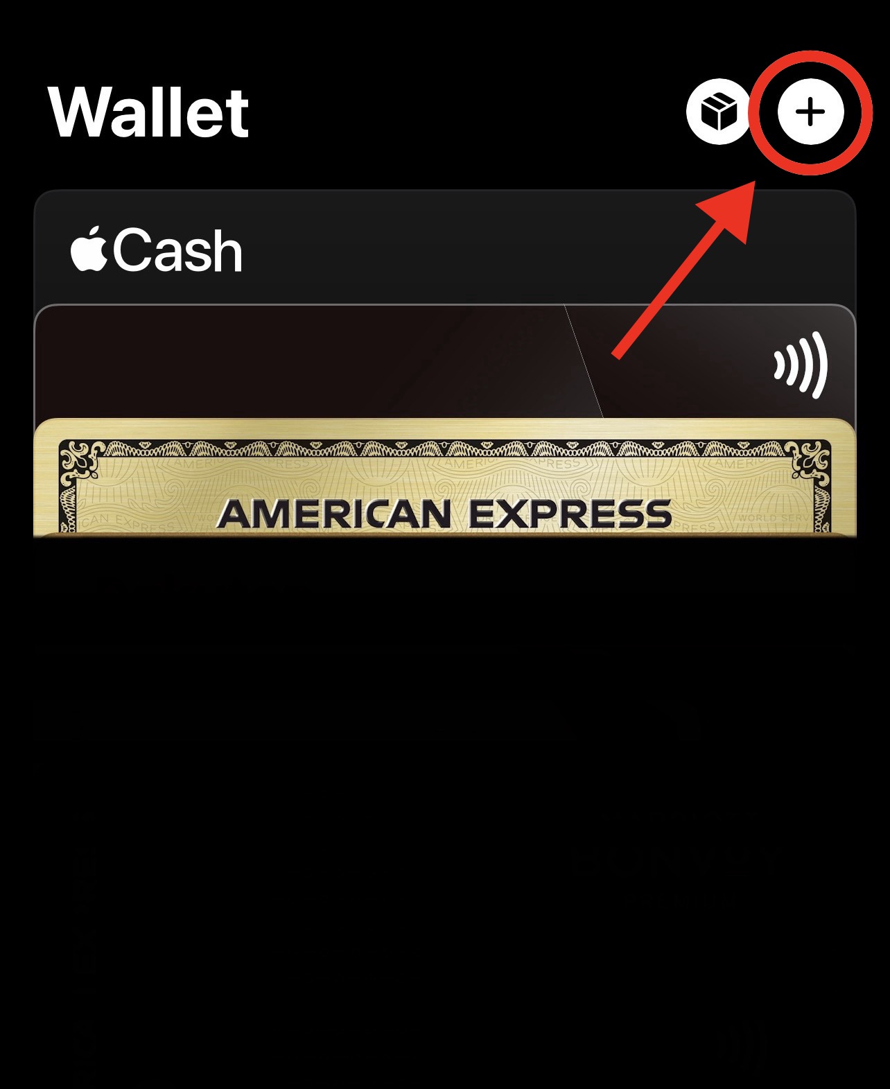 Screenshot of the screen after opening the wallet app