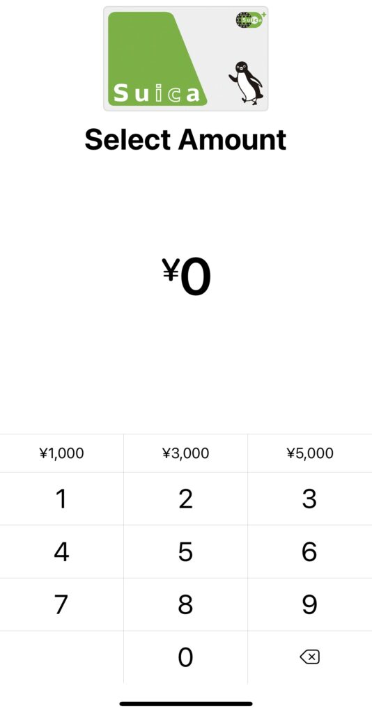 a screenshot of the screen where you input the amount